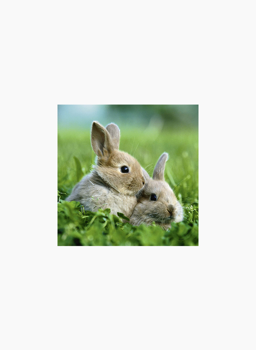 Ravensburger Puzzle Cute Bunnies 3x49p