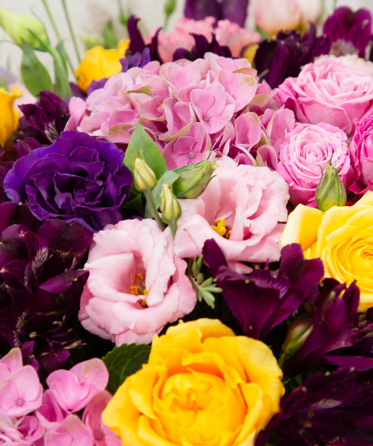 Կոմպոզիցիա «Arpis flowers» հորտենզիաներով №21