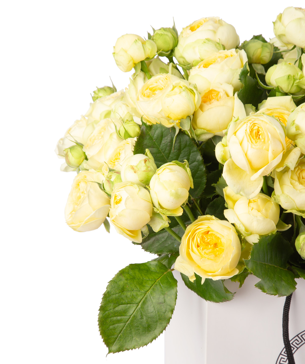 Композиция `Louis Vuitton` с пионовидными розами