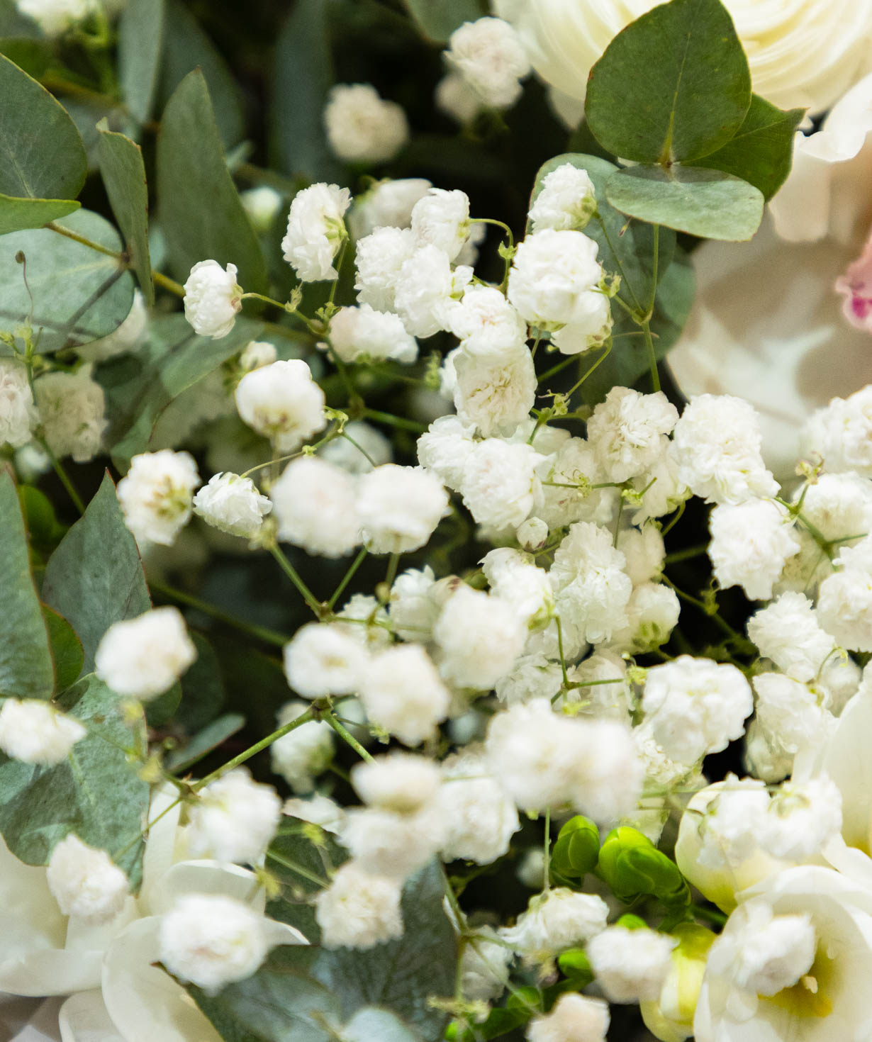 Букет «Aude» с фрезиями и орхидеями