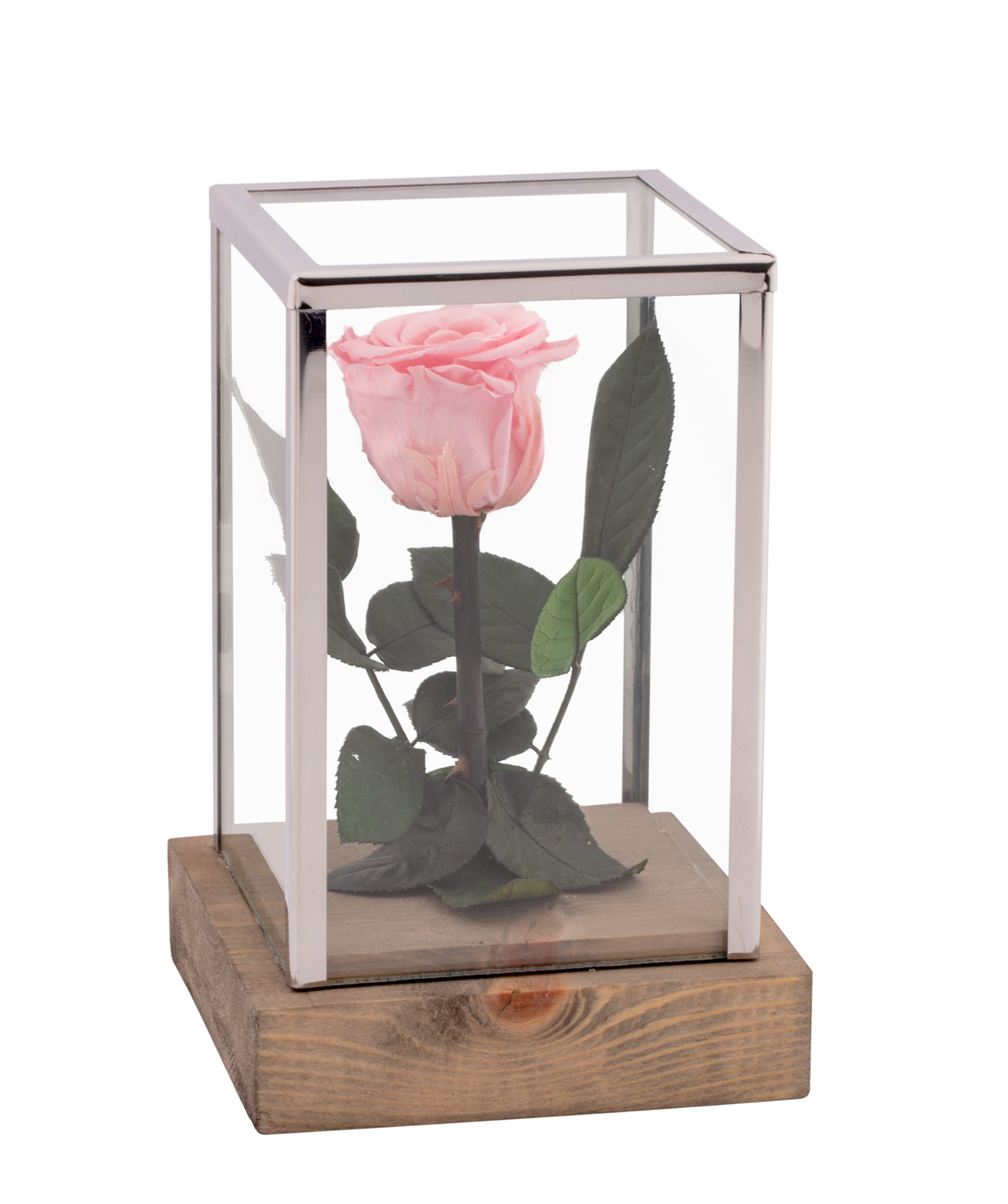 Rose `EM Flowers` eternal pink 18 cm in a flask