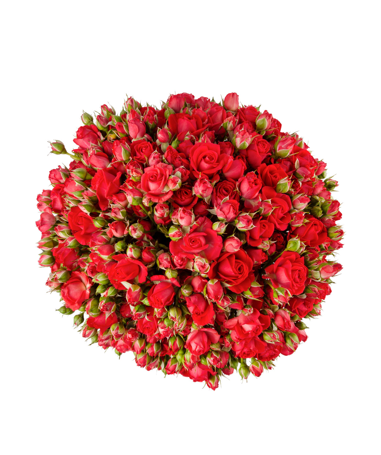 Composition `Calypso` with spray roses, big