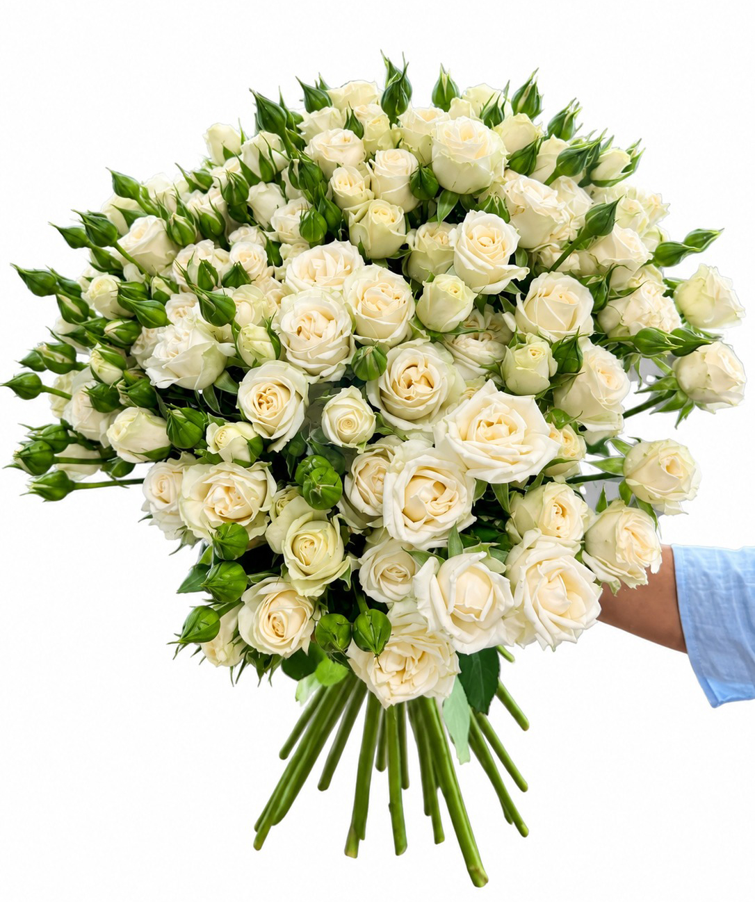 Spray rose «Harmony Flowers» white, 70 cm, 20 branchеs