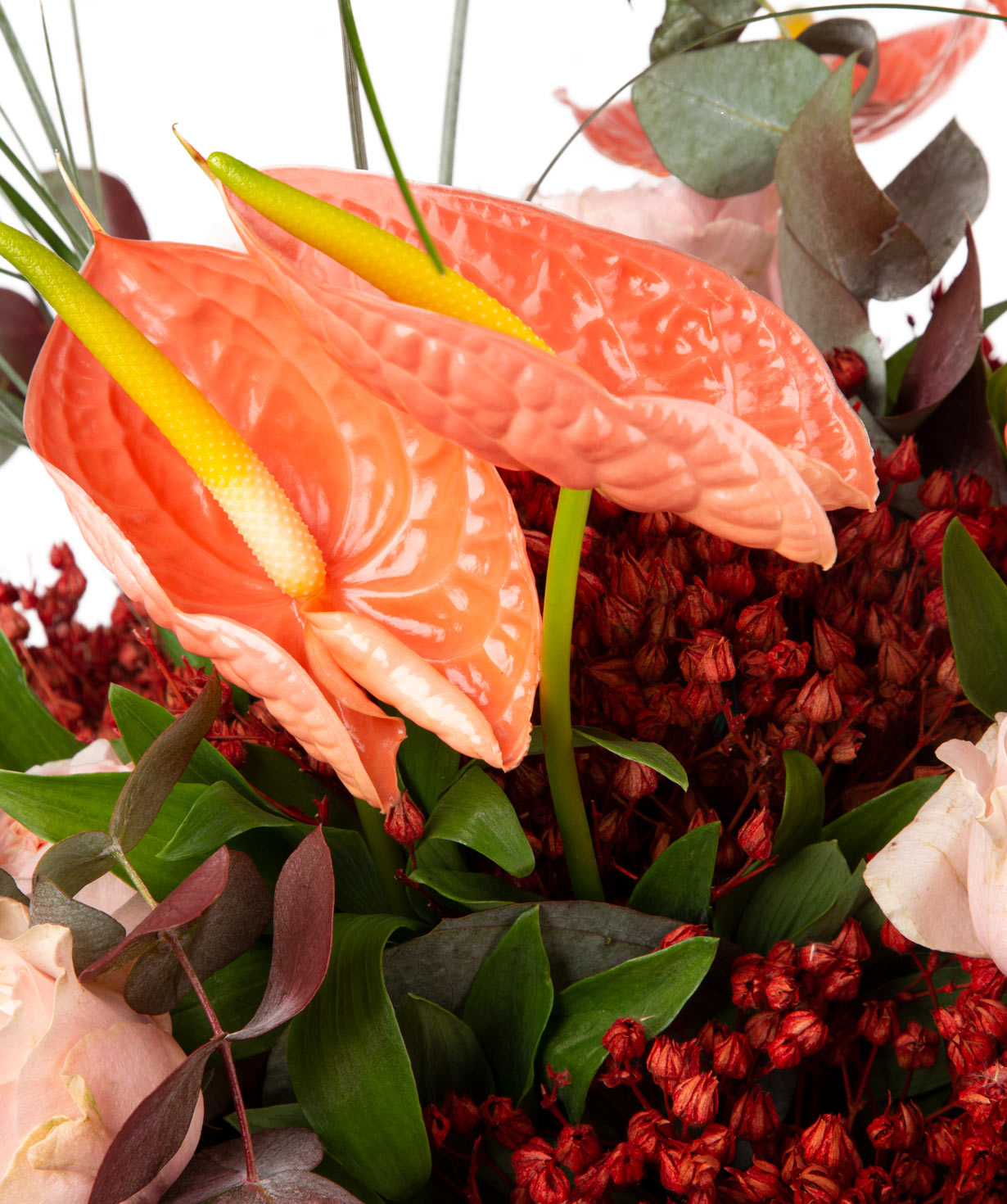 Bouquet  `Polotsk` of roses, anthurium, dried flowers