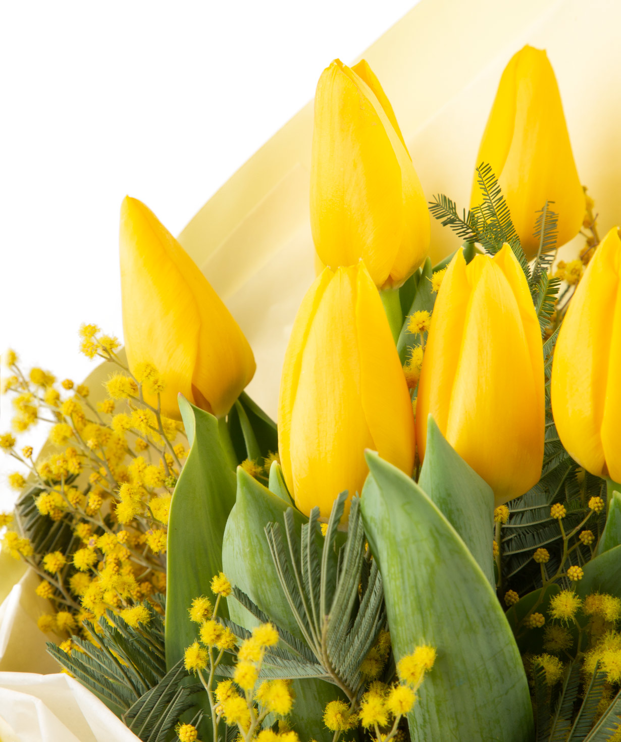 Bouquet «Bella» with tulips №5