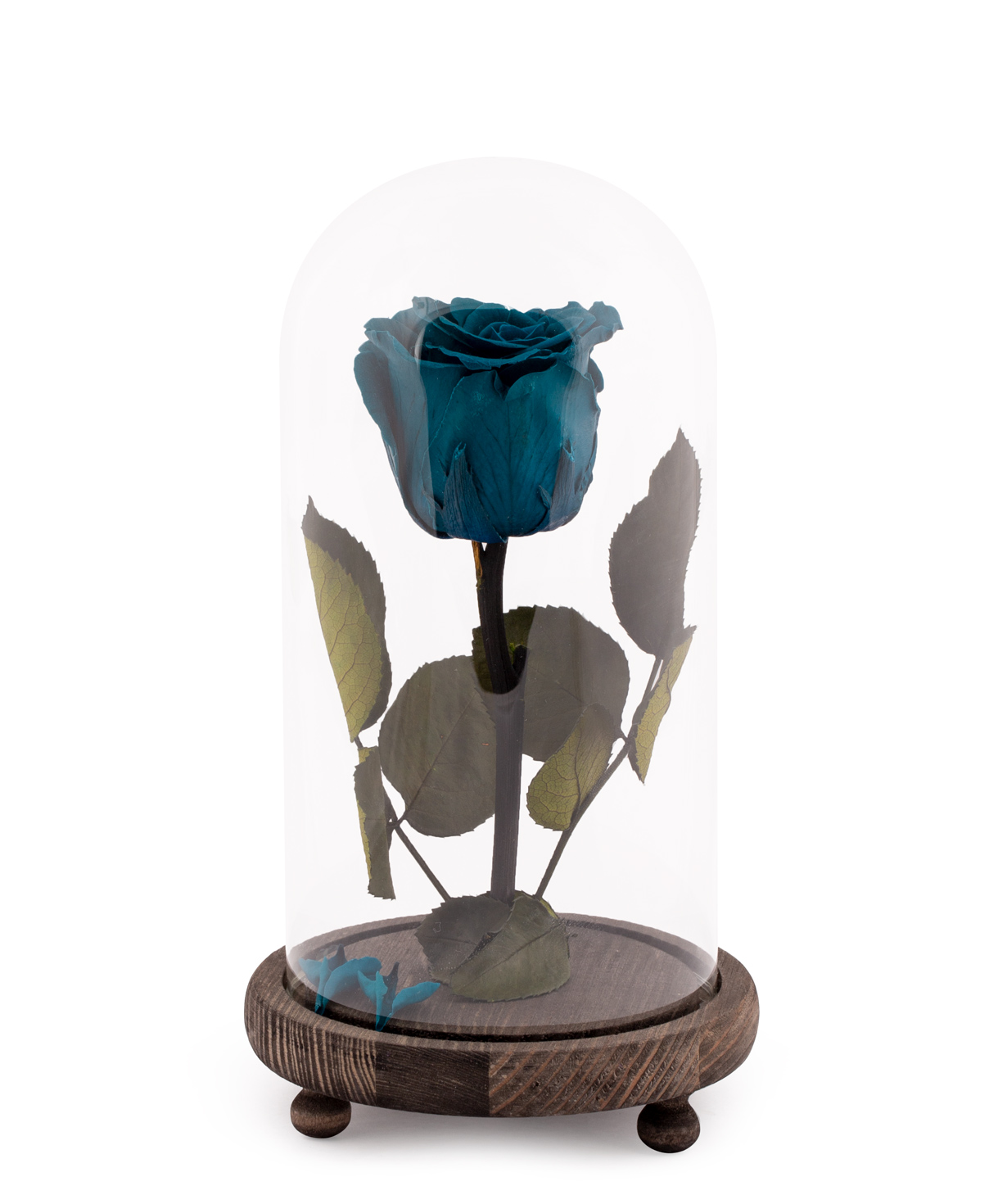 Rose `EM Flowers` eternal electric green 23 cm in a flask