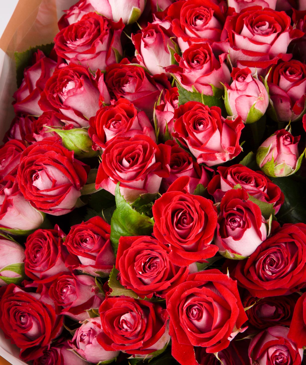 Ծաղկեփունջ «Անաիսա» վարդերով