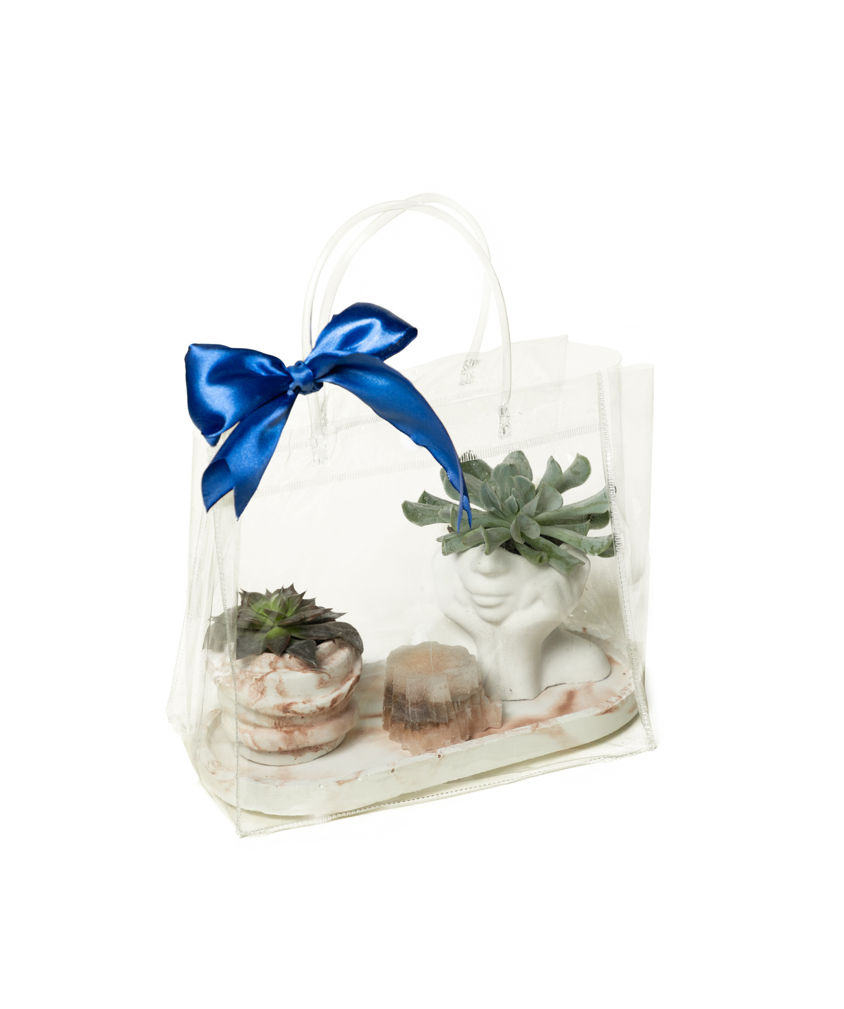 Gift set «Eco Garden» plant and candle №82