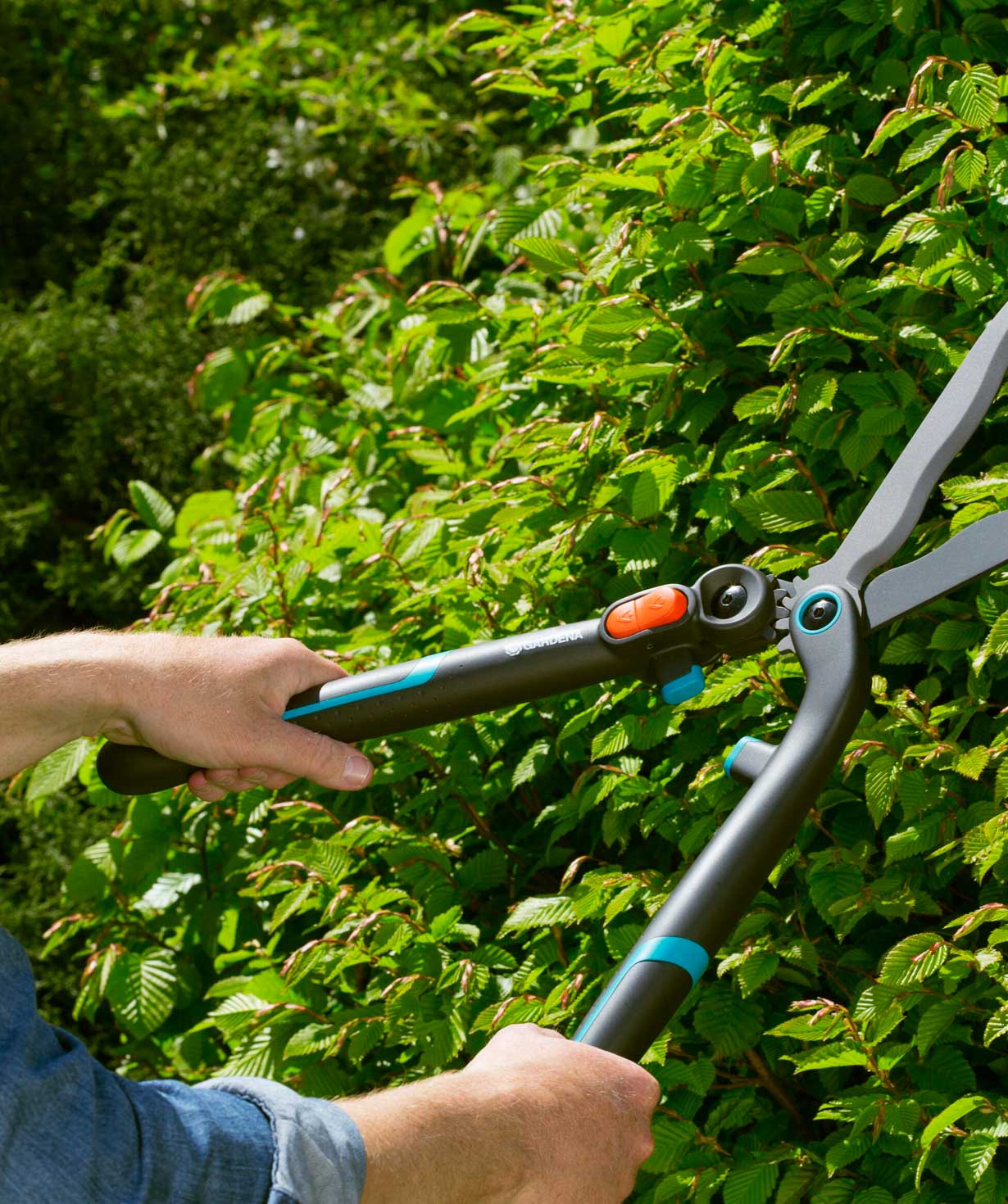 Bush trimmer «Gardena» EnergyCut