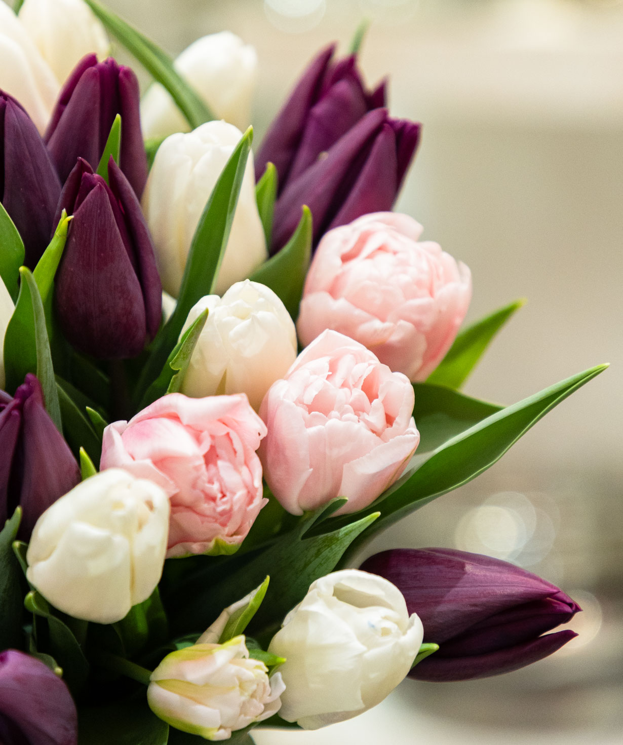 Ծաղկեփունջ «Aveyron» կակաչներով