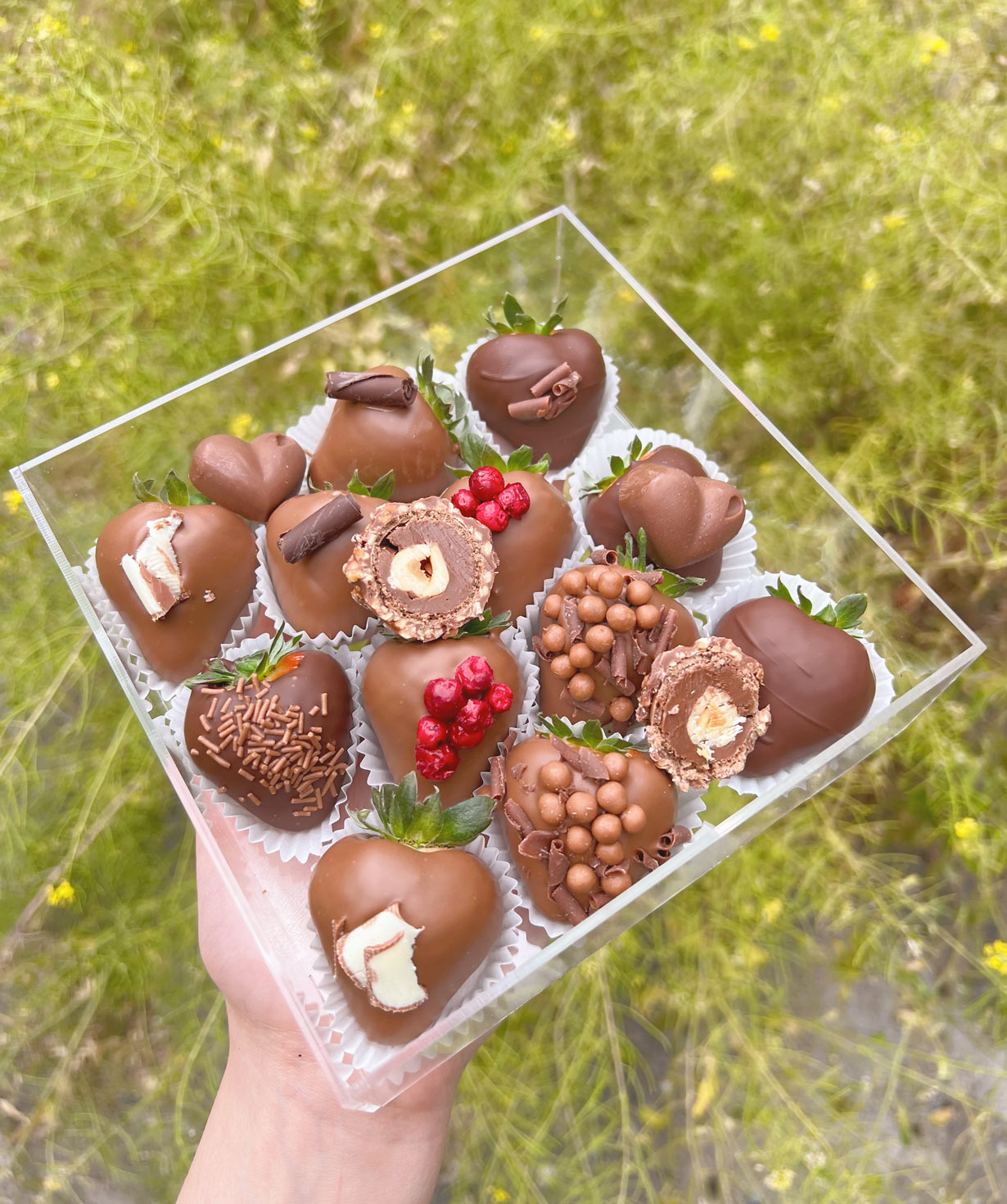 Շոկոլադապատ ելակներ «favoritecake»