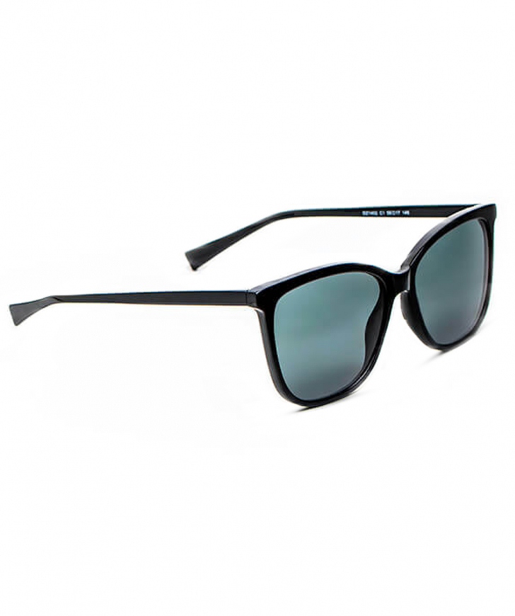 Sunglasses `Danz` №DZ1401