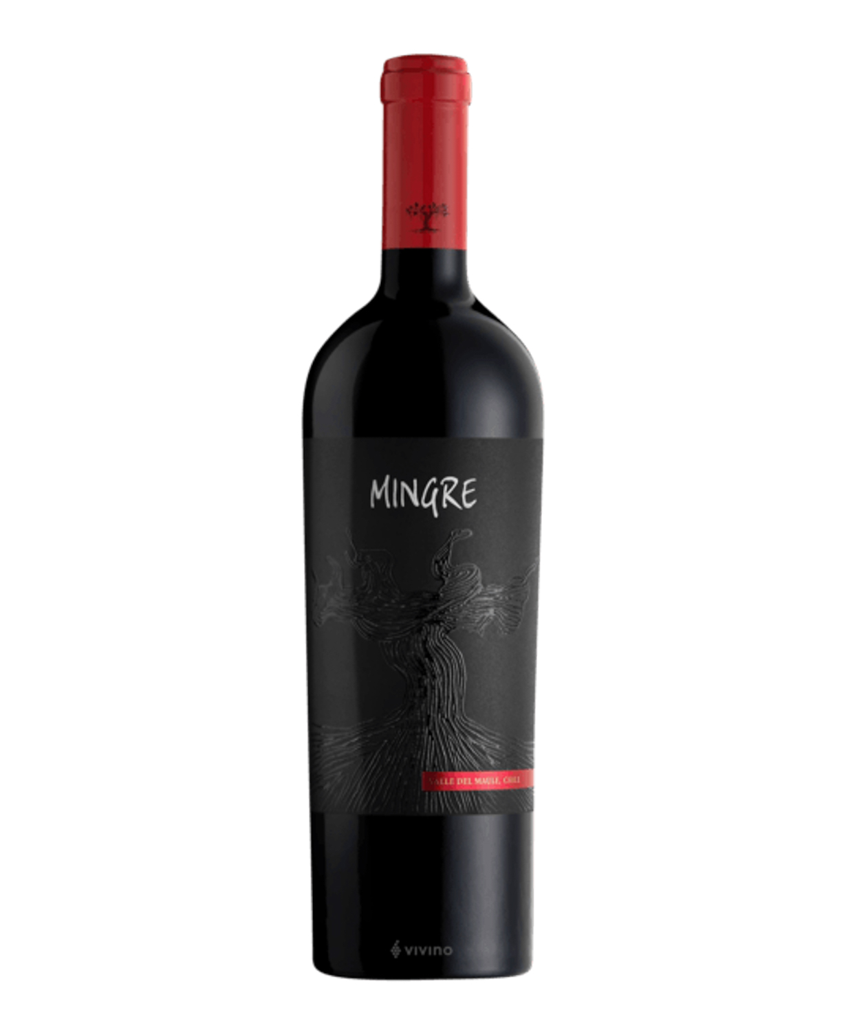 Wine `J. Bouchon Mingre Maule Valley` red, dry 750ml