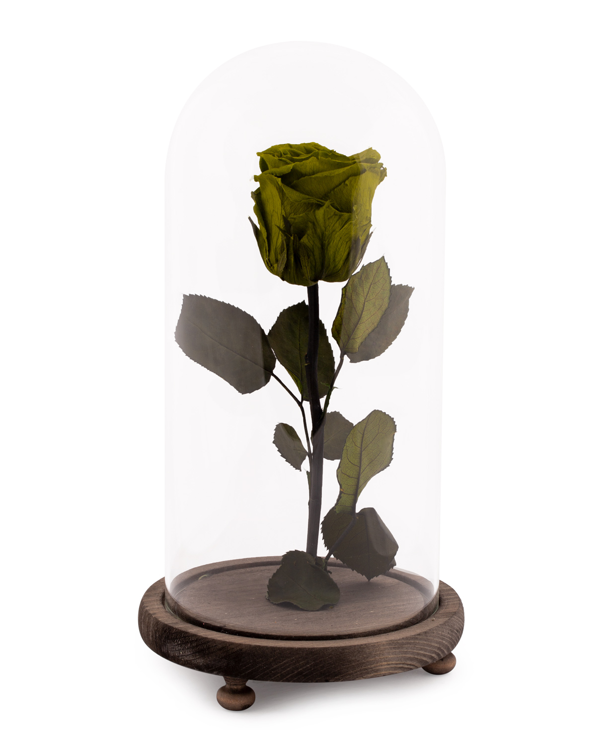 Rose `EM Flowers` eternal green 28 cm in a flask