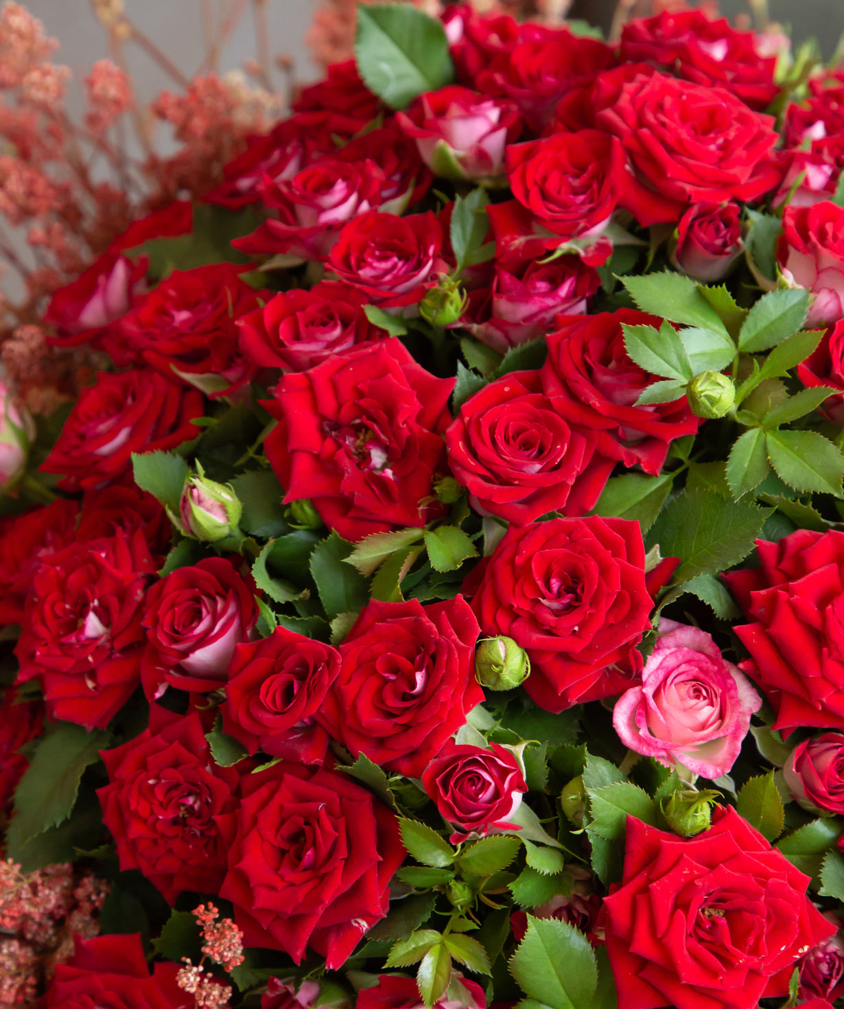 Ծաղկեփունջ «Պետրիտոլի» փնջային վարդերով և դաշտային ծաղիկներով