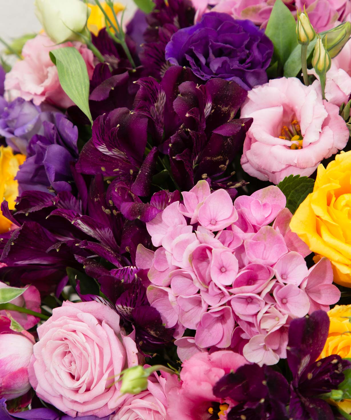 Կոմպոզիցիա «Arpis flowers» հորտենզիաներով №21