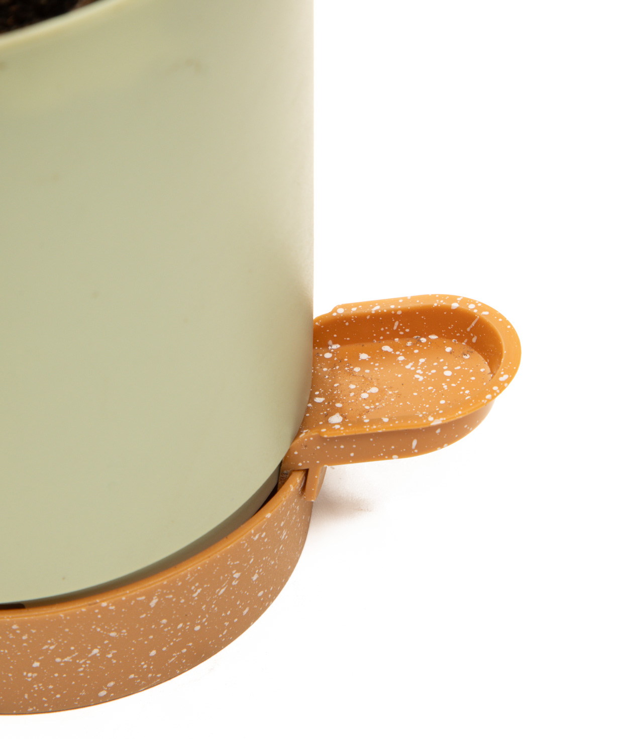 Растение «Eco Garden» Суккулентная Луэлла №68