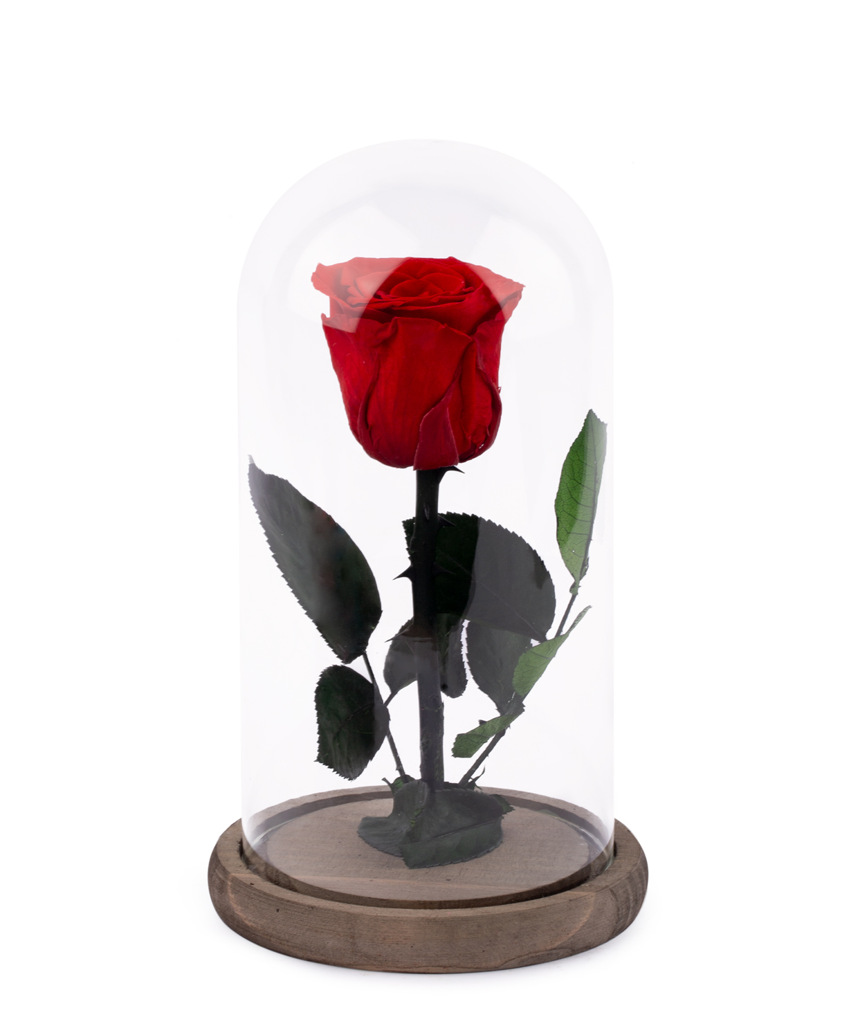 Роза `EM Flowers` красная вечная в коробке