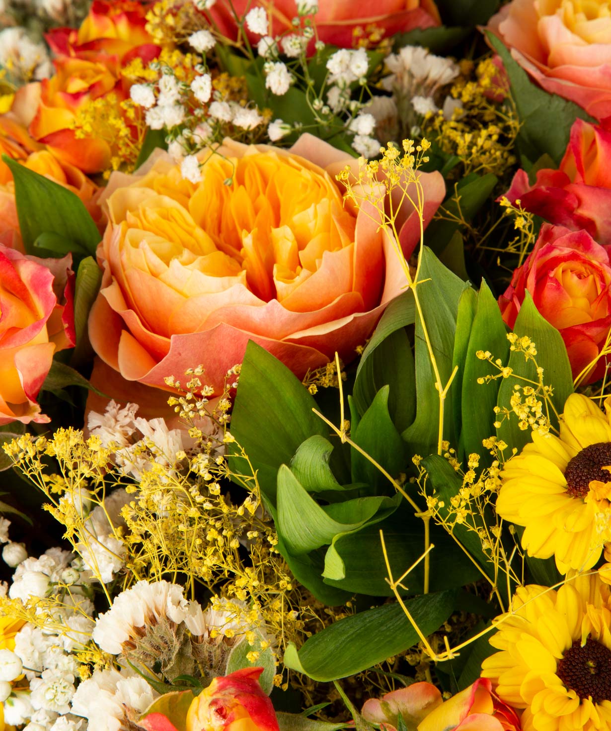 Ծաղկեփունջ «Քեյփ Թաուն» վարդերով, քրիզանթեմներով և գիպսոֆիլիաներով
