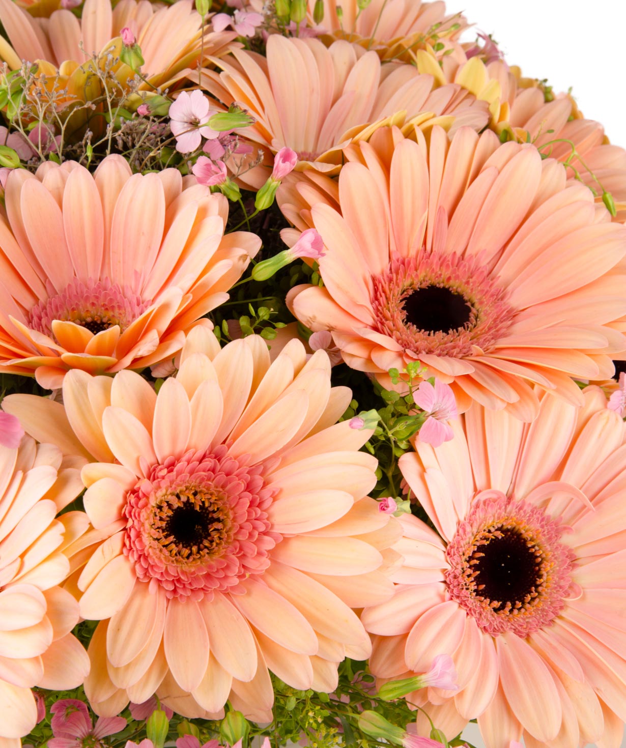 Ծաղկեփունջ «Բոնիտա Սփրինգս» հերբերաներով և դաշտային ծաղիկներով