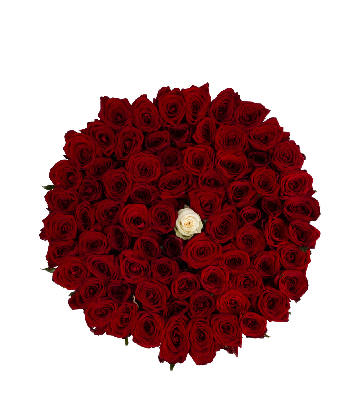 Композиция ''Стило'' с розами красными и 1 белой