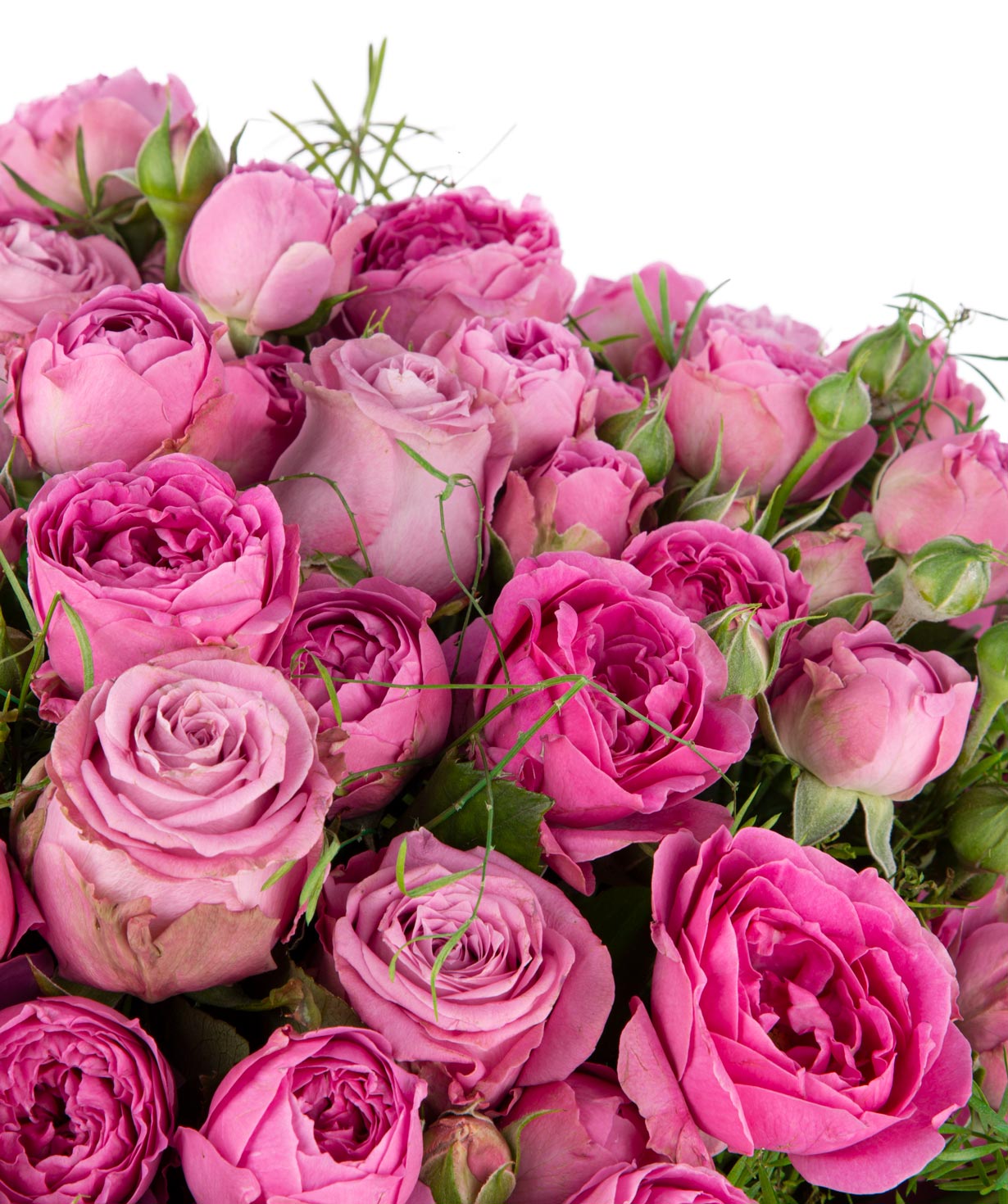 Ծաղկեփունջ «Օլբորգ»  վարդերով և պիոնավարդերով