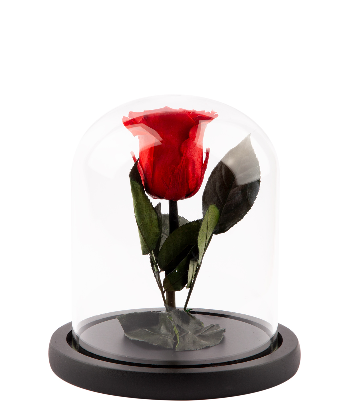 Композициа `EM Flowers` Валентин с вечной розой и воздушными шарами