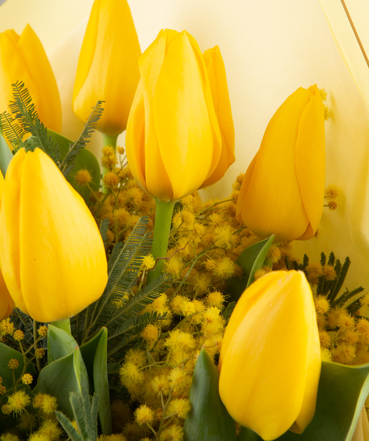 Bouquet «Bella» with tulips №5