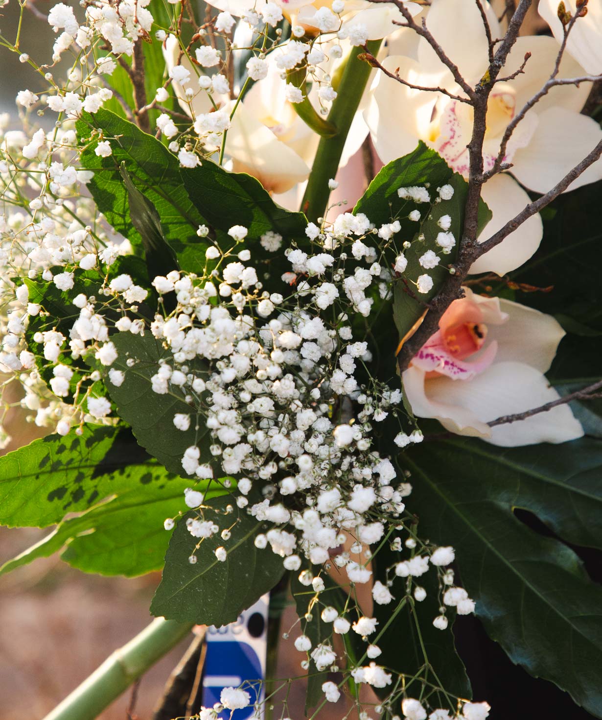 Bouquet «Jarvis» with orchids and gypsophilas
