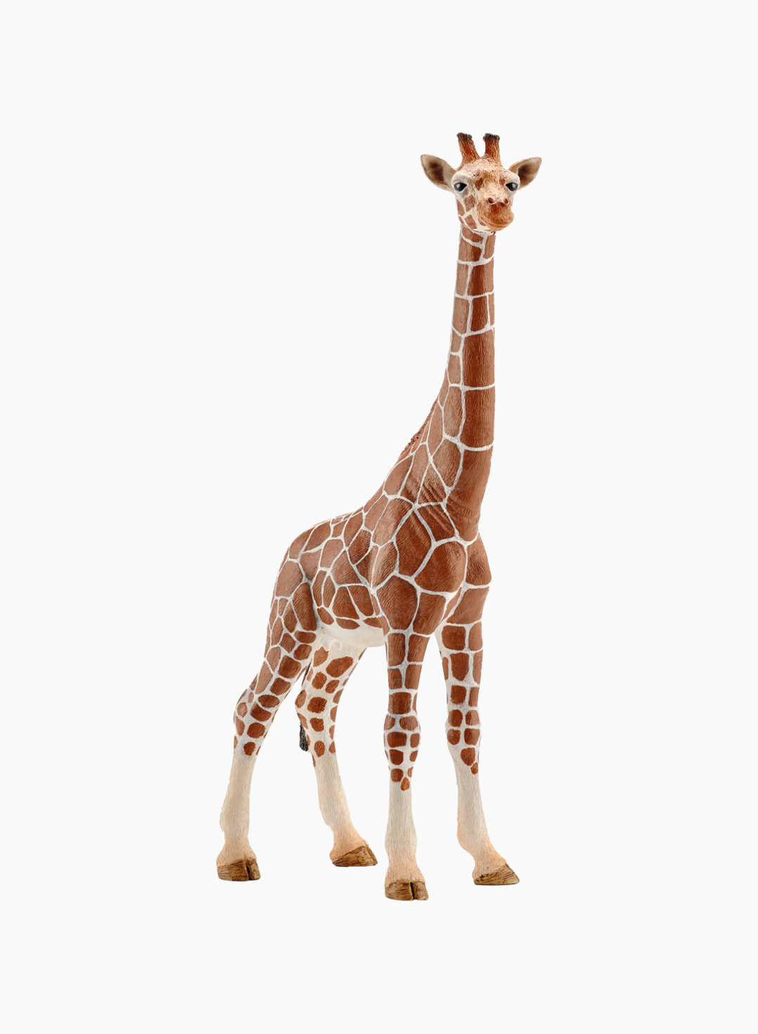 Schleich Фигурка животного «Самка жирафа»