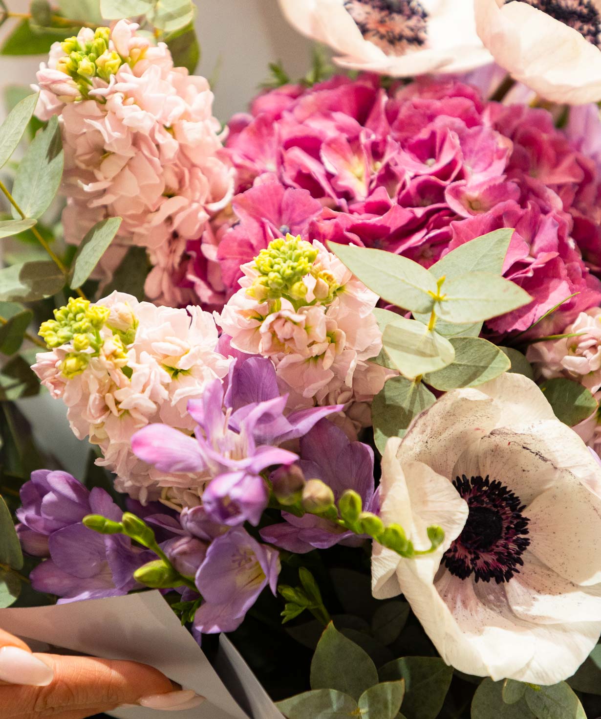 Bouquet «Barse» with hydrangea and anemones