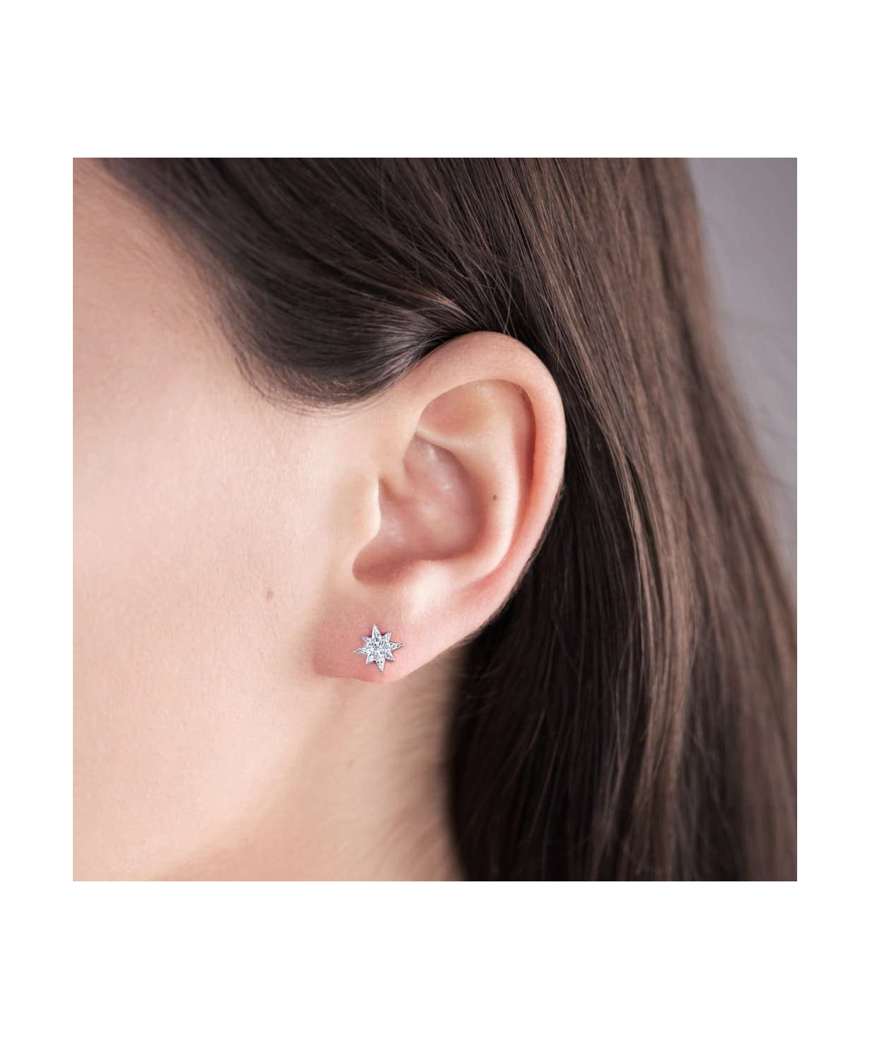 Earrings SE548