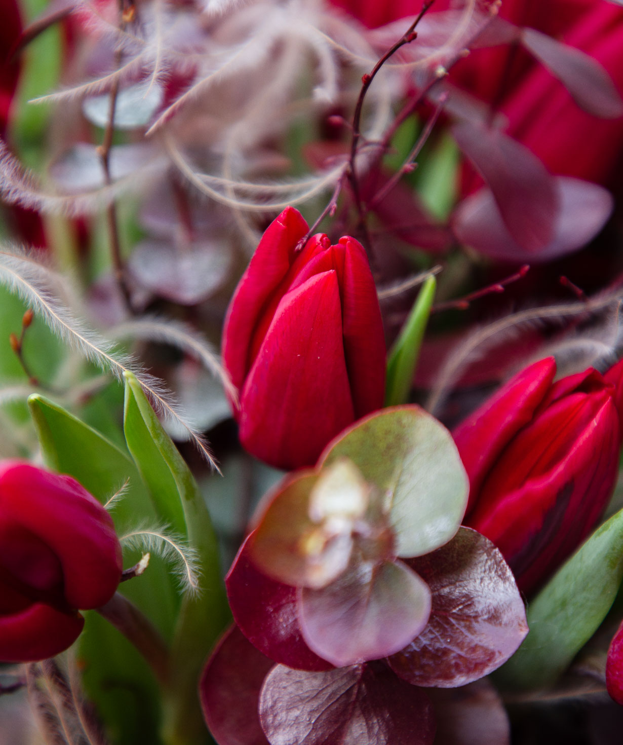 Bouquet «Amfissa» with tulips