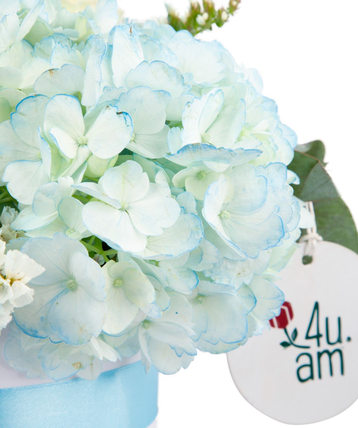 Composition `Apencel` with hydrangea, rose, lisianthus and limonium