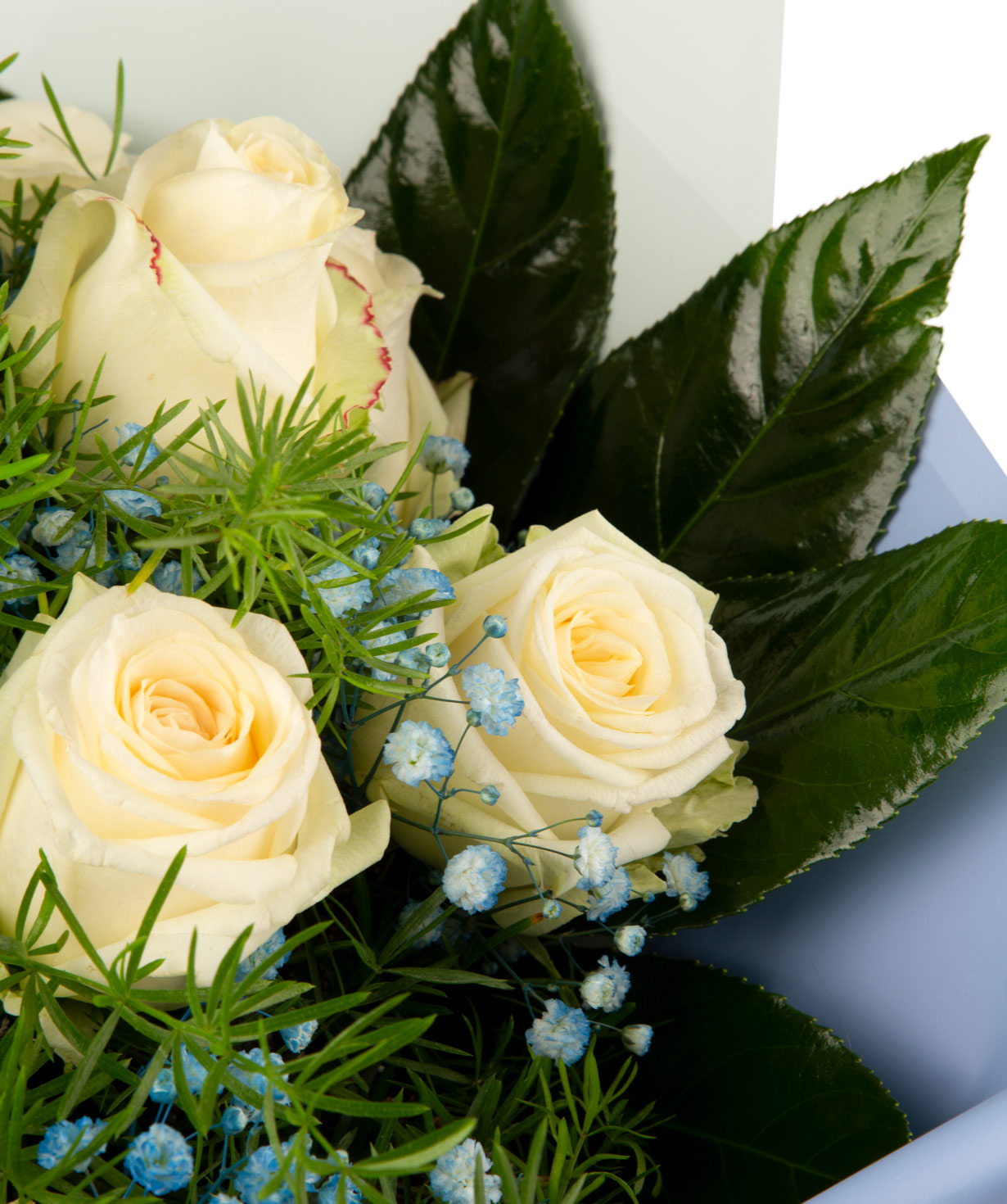 Bouquet `Nougat` with roses and gypsophila