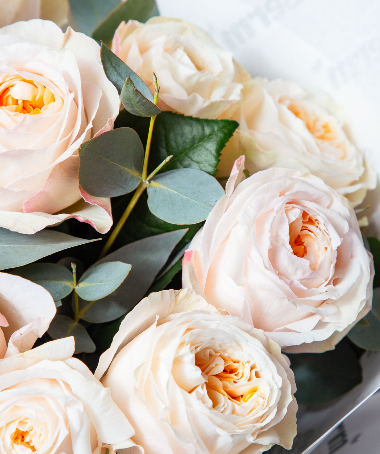 Ծաղկեփունջ «Տրեսկո» հոլանդական վարդերով