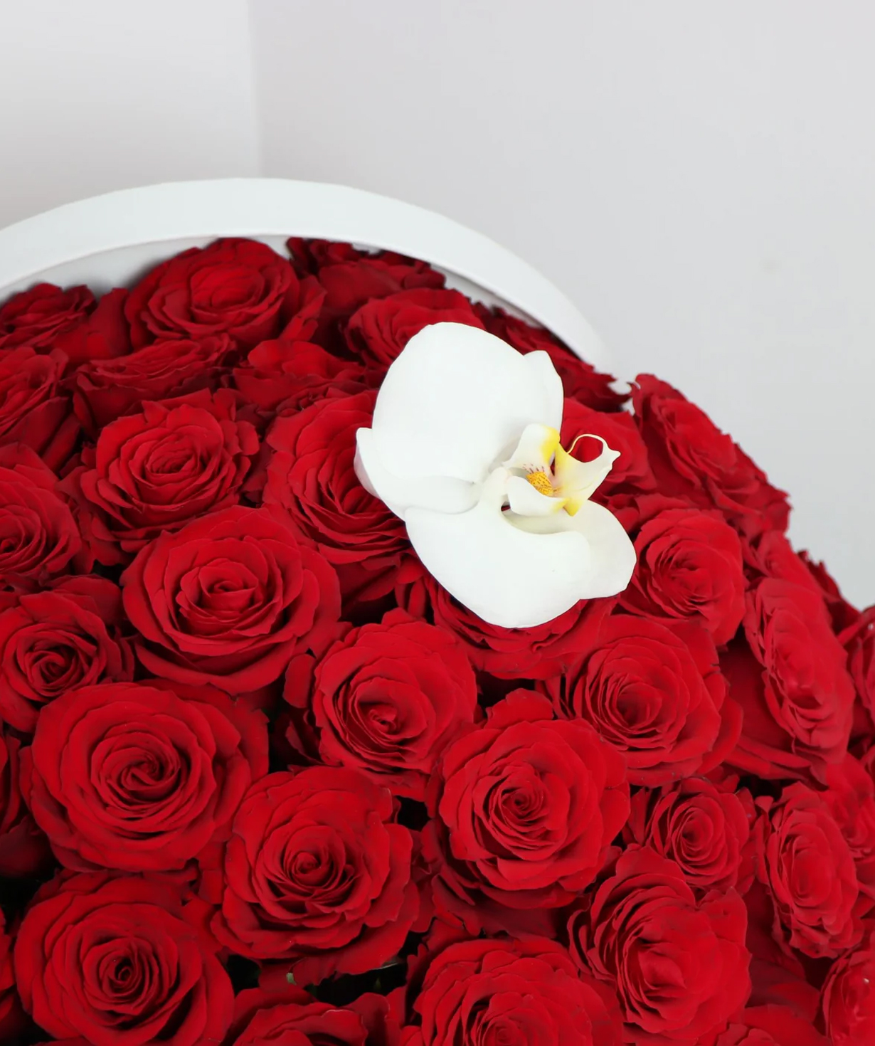 Dubai. Composition №054 with roses