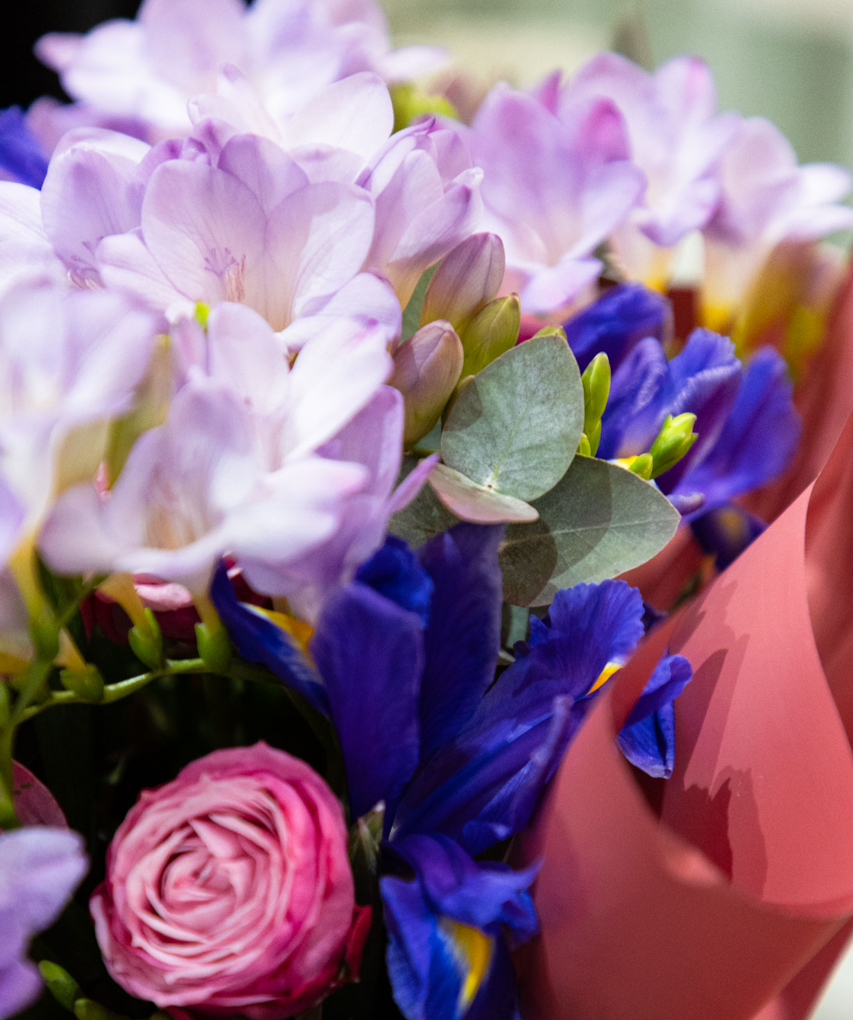 Ծաղկեփունջ «Baraci» ֆրեզիաներով