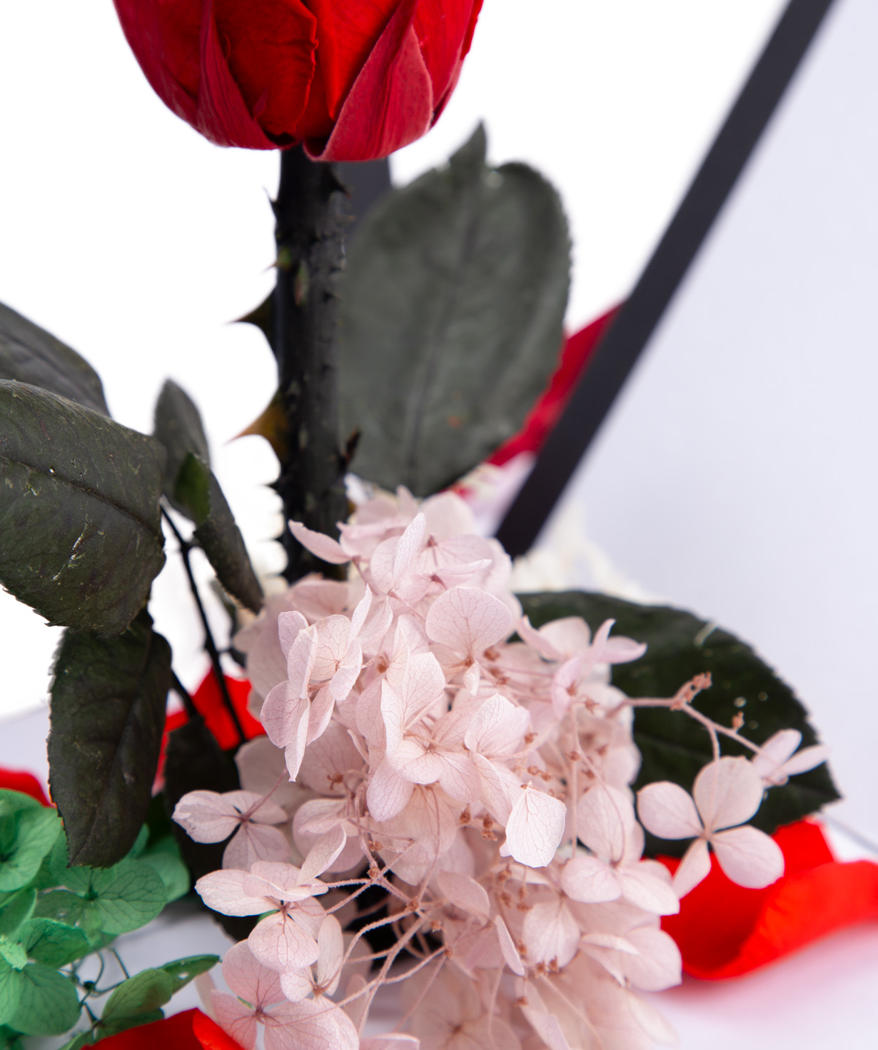Վարդ «EM Flowers» կարմիր հավերժական, անակնկալ տուփով