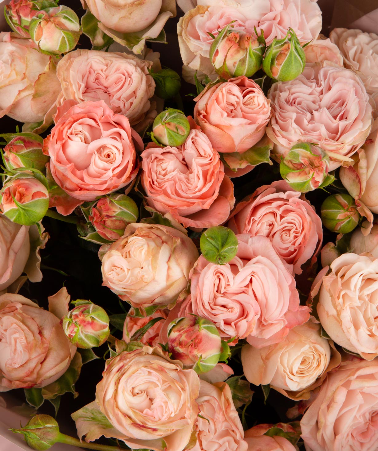 Букет `Зива` с пионовидными розами