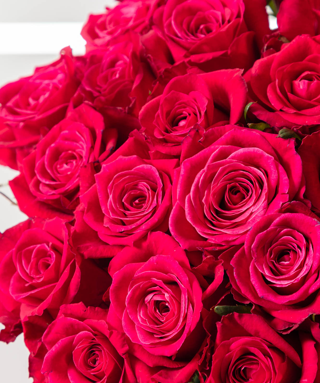 Bouquet “Bright Pink Roses”