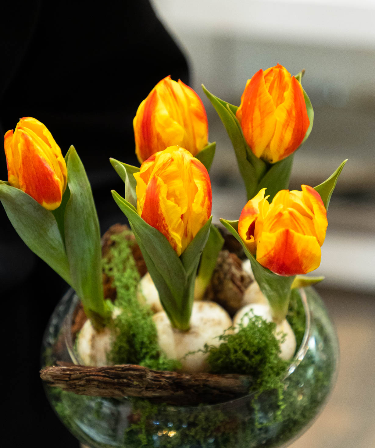 Композиция «Auron» с тюльпанами