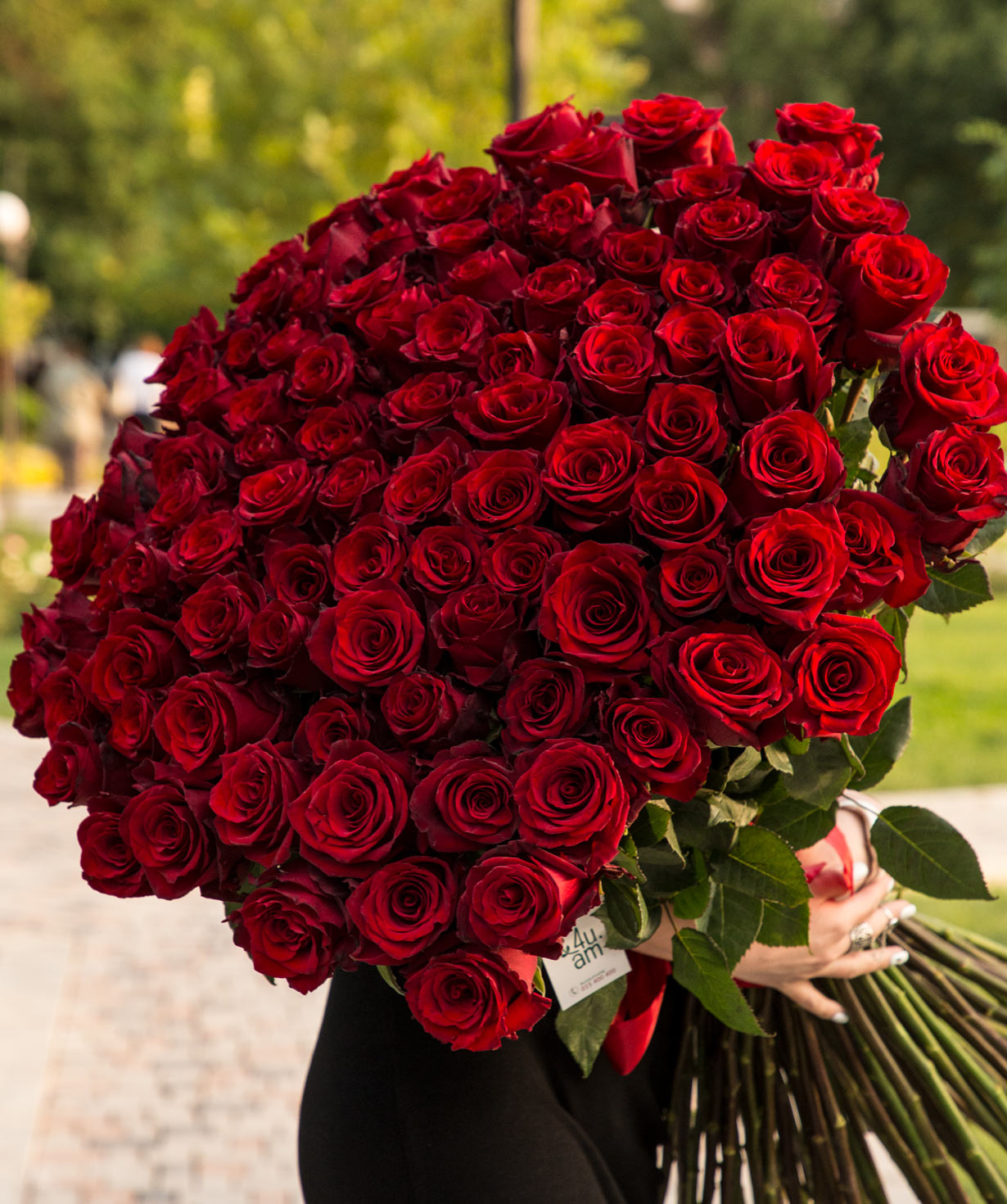 Վարդեր Էկվադորի «Explorer» կարմիր 101 հատ, 100 սմ