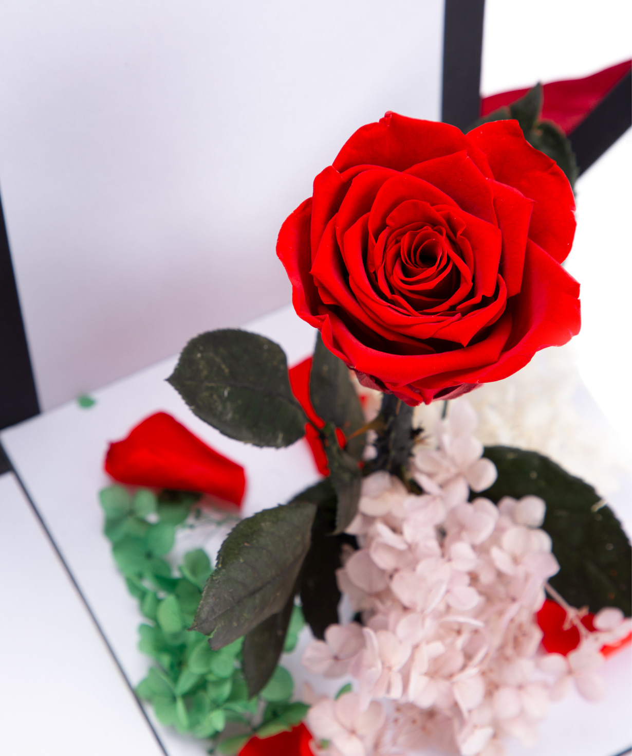 Роза ''EM Flowers'' красная вечная, с коробкой-сюрпризом