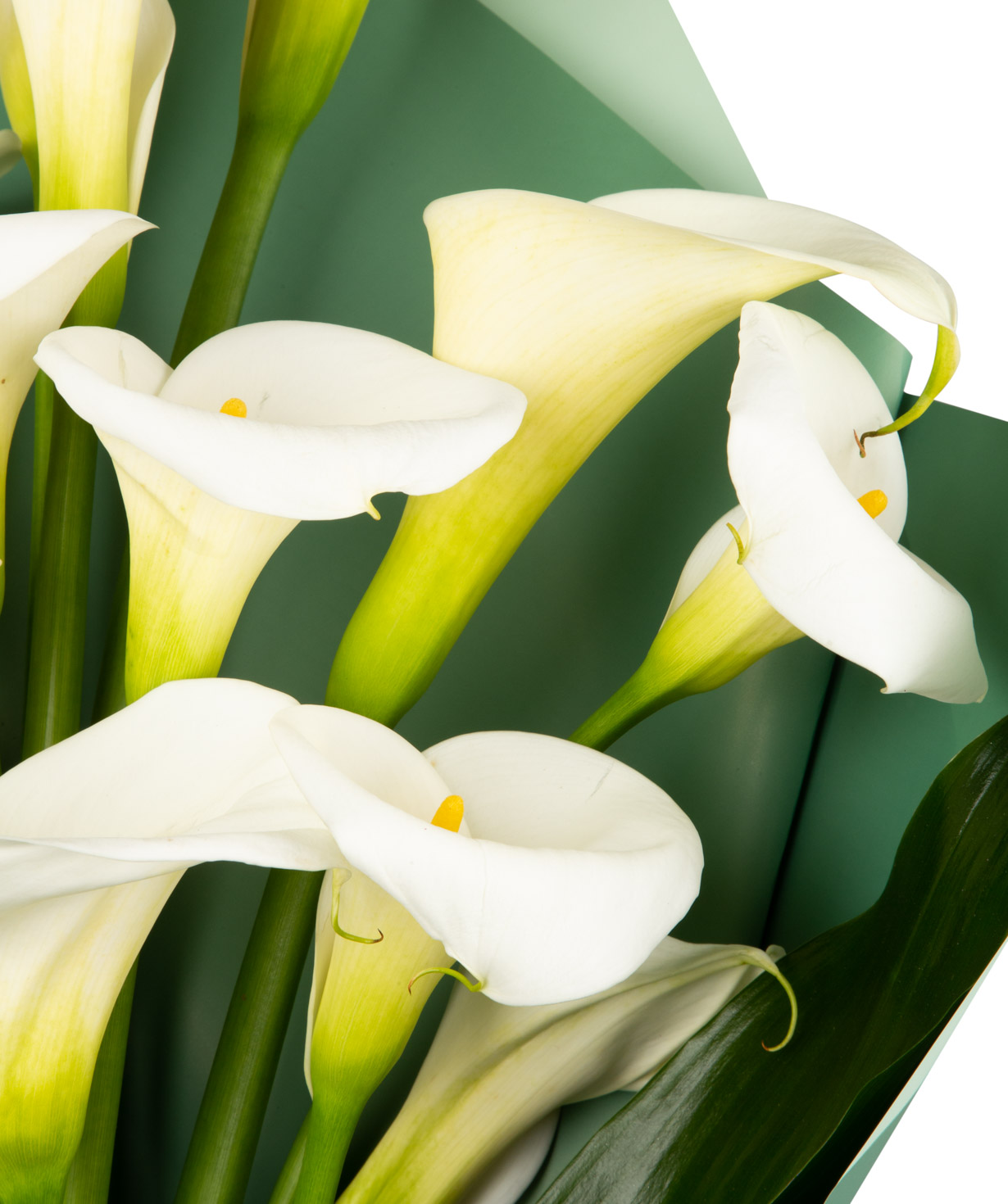 Bouquet `Vilvoorde` with calla lilies