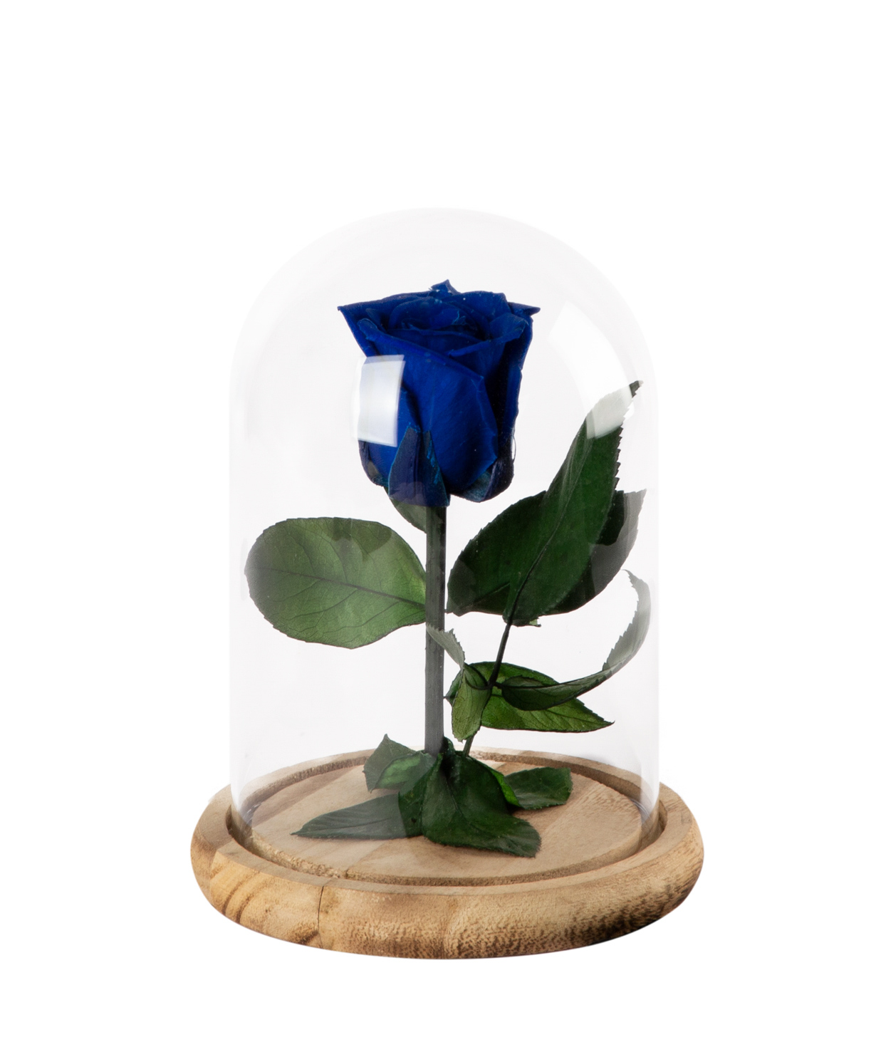 Роза `EM Flowers` вечная 17 см синяя