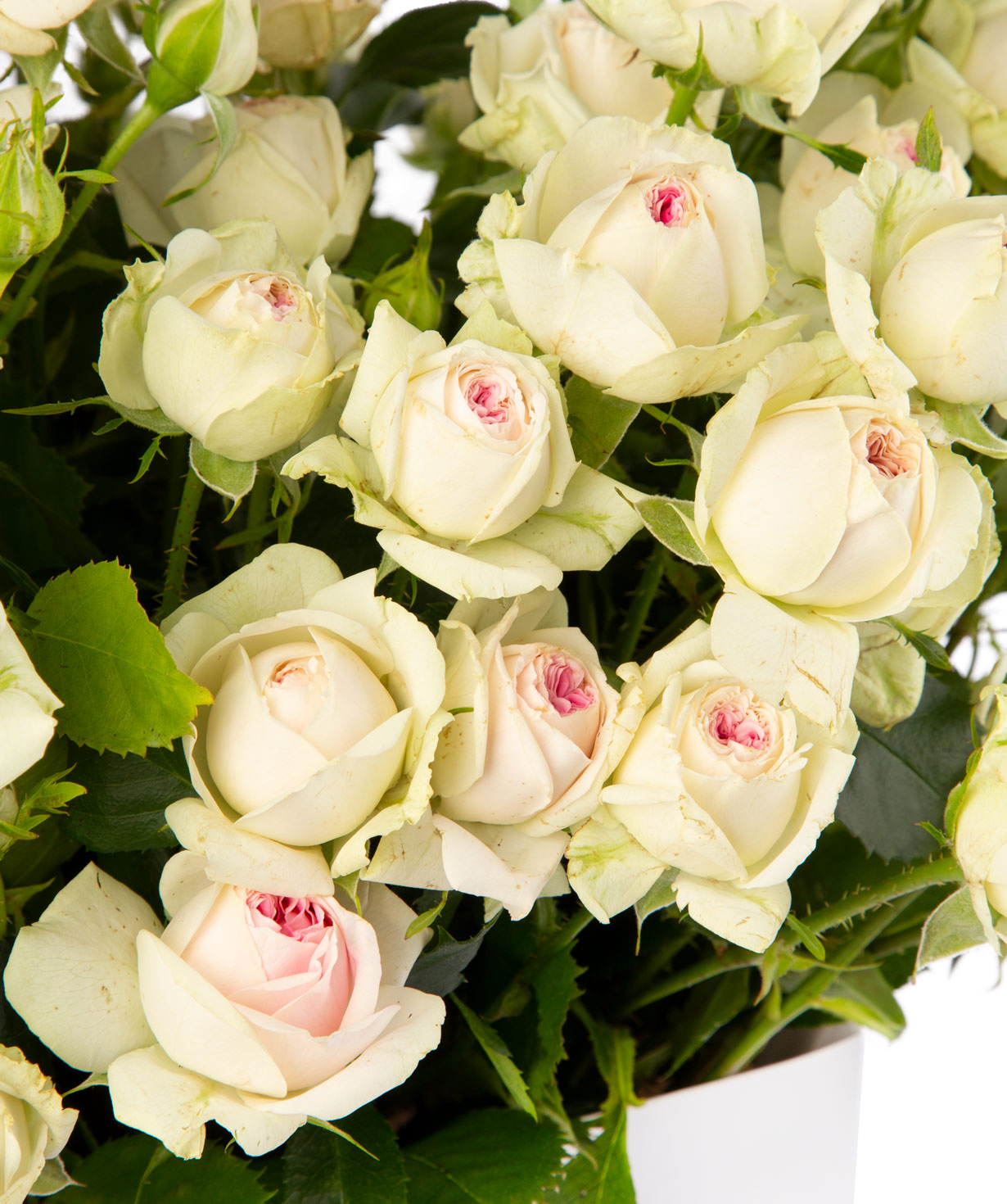 Композиция `Prada` с кустовыми розами