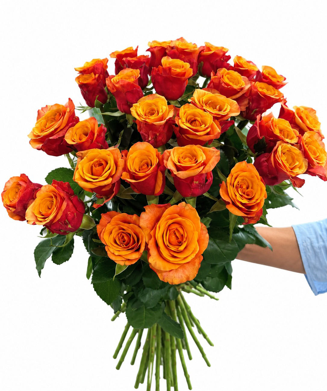Rose «Harmony Flowers» red-orange, 70 cm, 29 pcs
