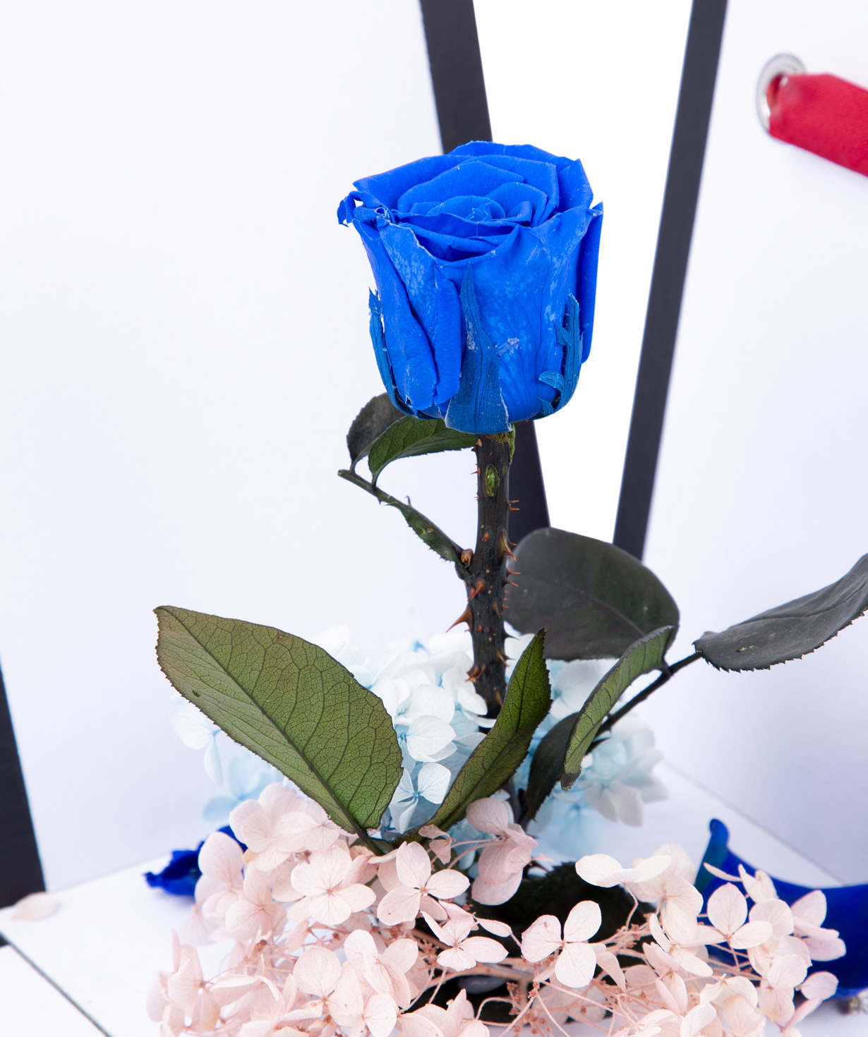 Роза ''EM Flowers'' синяя вечная, с коробкой-сюрпризом