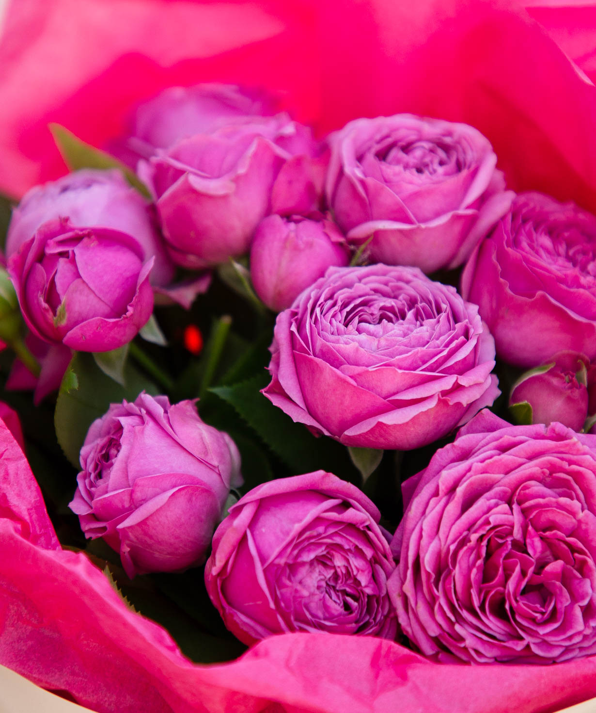 Bouquet «Bella» with spray roses  №372